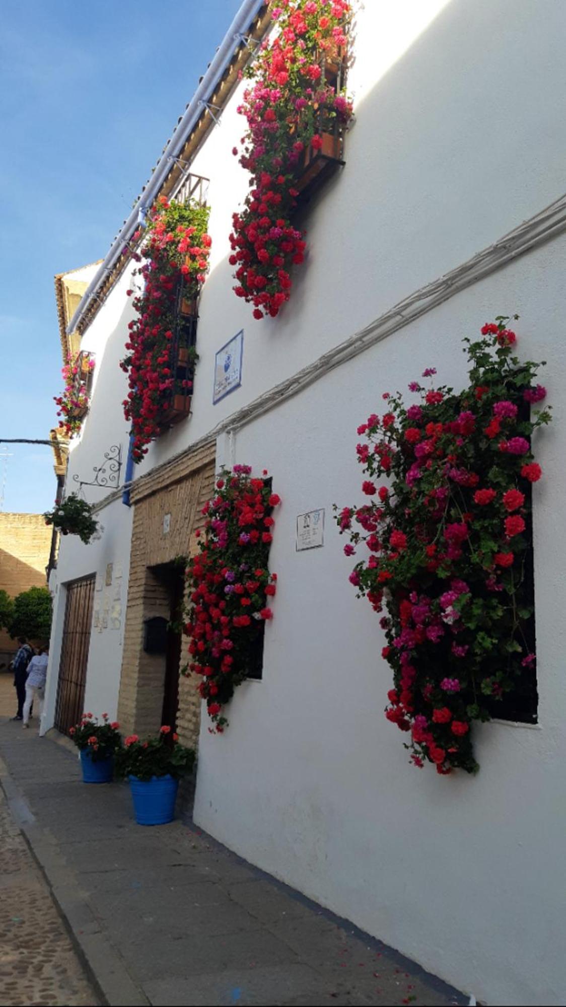 Apartamento En Barrio San Basilio Daire Cordoba Dış mekan fotoğraf